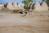 Harran, the beehive houses 